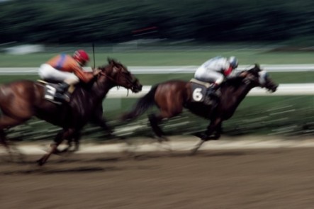 Cloud Computing: Great at Horse Races – and Streamlining Your Company